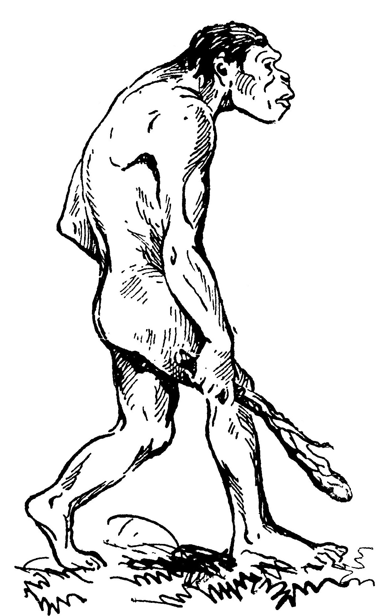 Неандерталец древний человек рисунок