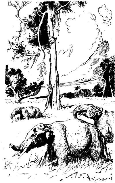 Mastodons