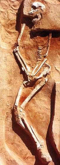 Захоронение грацильного скелета из Mungo