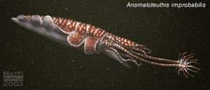 Anomalotheutis