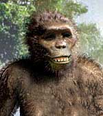 Хабилис - обезьянья рожа