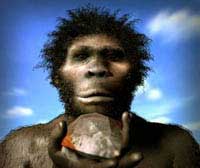 Хабилис с орудием