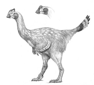 Динозавроид в перьях