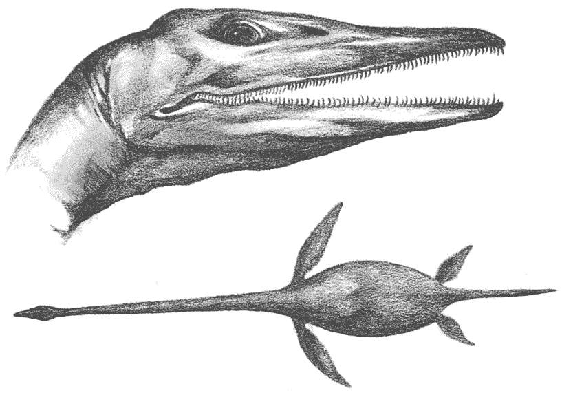 Ихтиозавры стегоцефалы