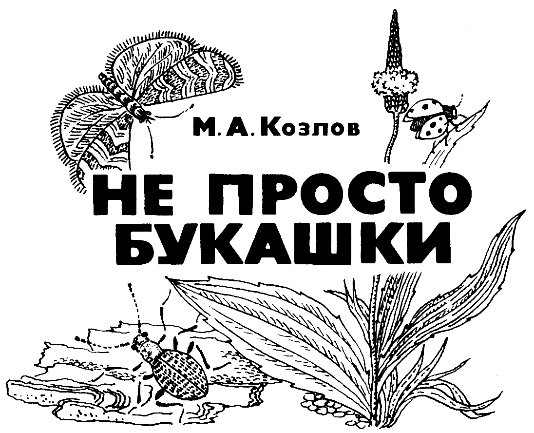 М. А. Козлов "Не просто букашки" издание второе