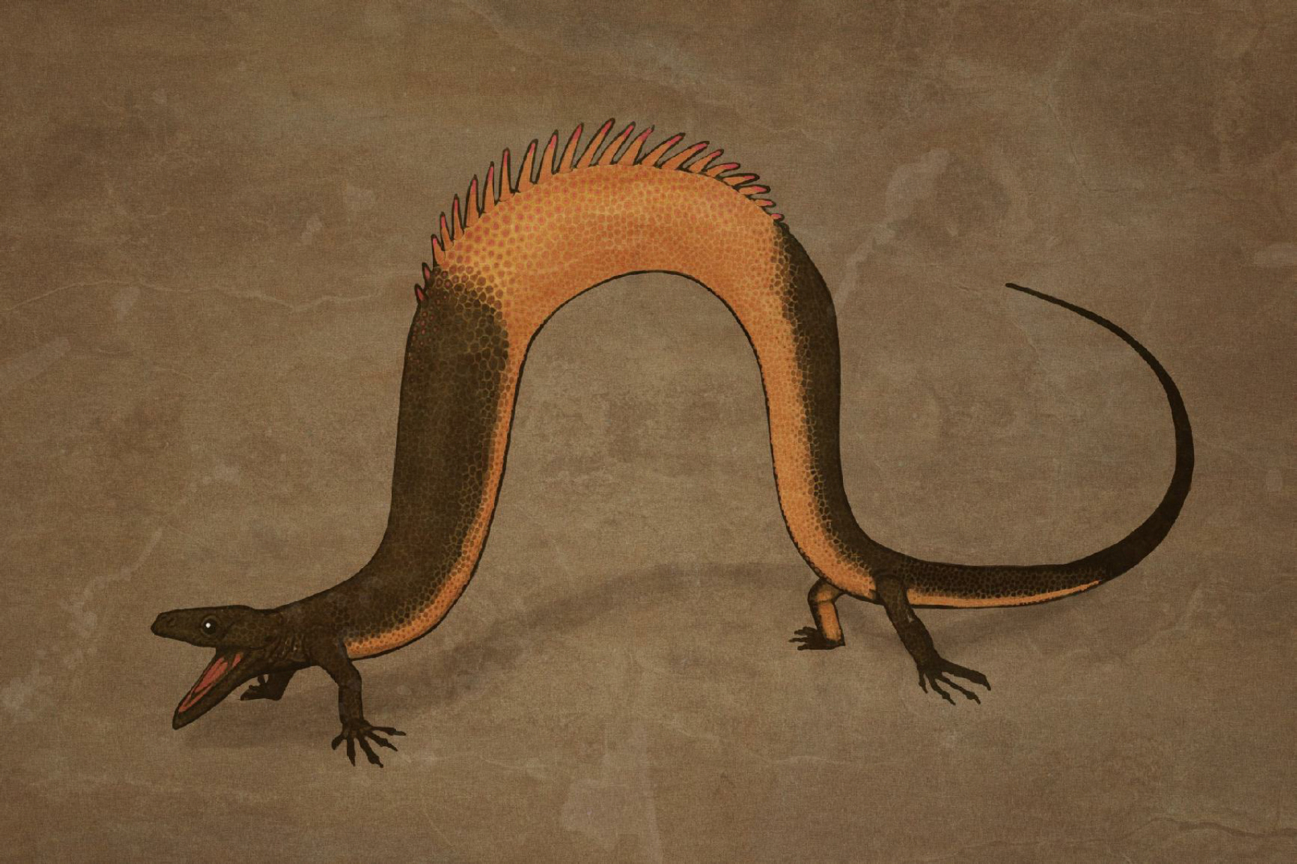 Вымерший ящер. Доисторические ящерицы. Древние ящеры. Динозавр похожий на ящерицу.