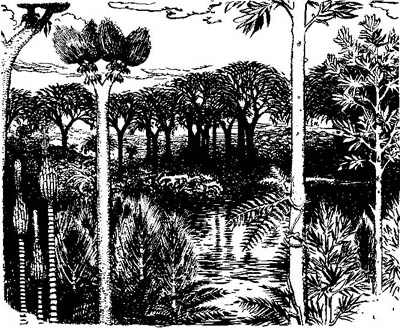 Carboniferous_forest