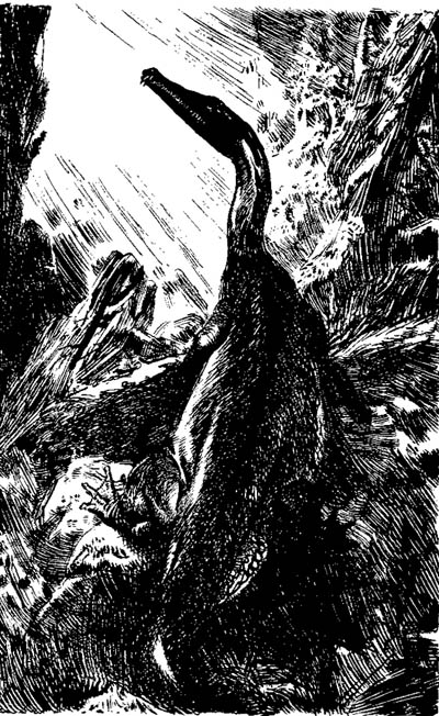 Nothosaurus
