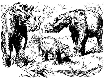 uintatherium