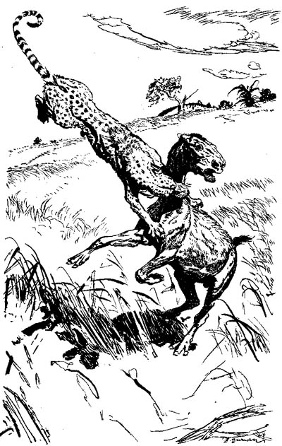 tritemnodon_hunt