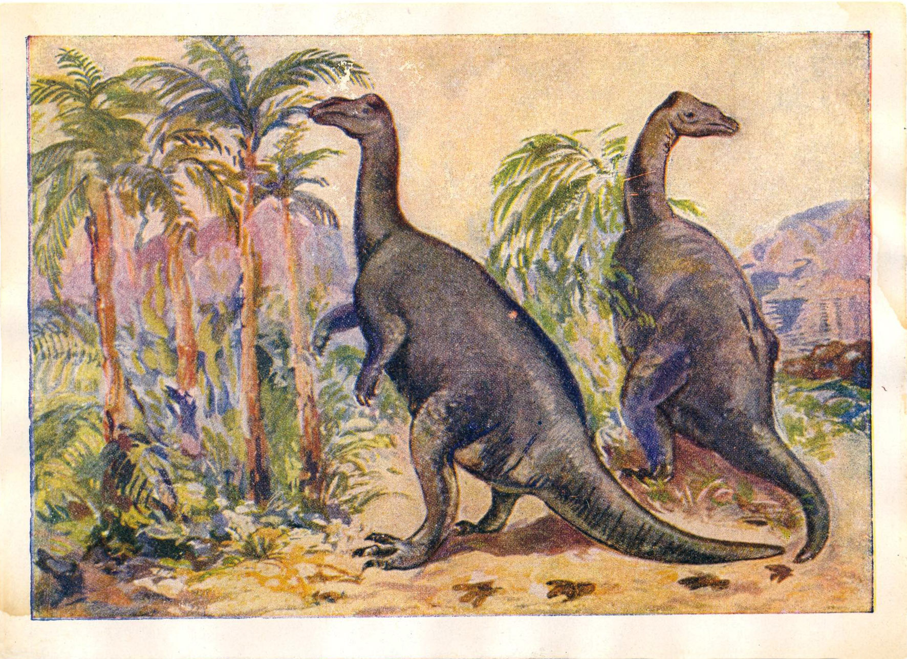 На рисунке изображен майаспондил вымершая рептилия. Вымершие животные. Вымершие животные 20 века. Эйнем вымершие животные. Животных которые вымерли 100 лет назад.
